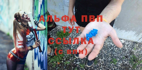 крисы Алексин