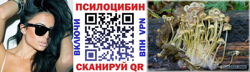 маркетплейс какой сайт  Лосино-Петровский  Галлюциногенные грибы Psilocybe  гидра как зайти 