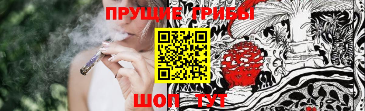Псилоцибиновые грибы GOLDEN TEACHER Лосино-Петровский