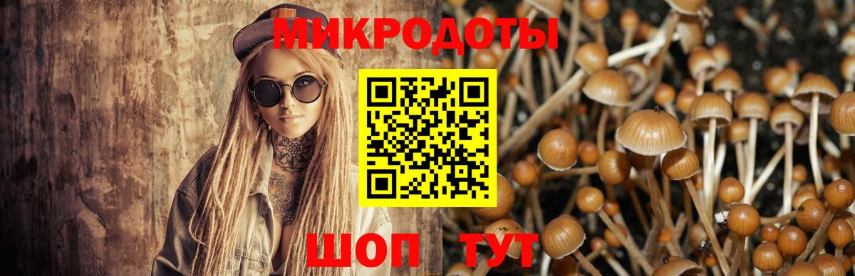 Псилоцибиновые грибы Psilocybine cubensis  Вход с VPN  Лосино-Петровский 