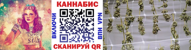 МАРИХУАНА THC 21%  купить наркоту  darknet Telegram  Лосино-Петровский 